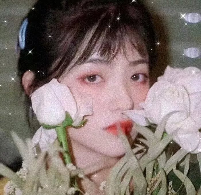 九凤家的锦鲤喵殿下
